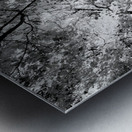 Forest Canopy Metal print