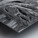 Root Flare Metal print