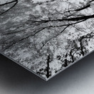 Pennsylvania Woods Metal print