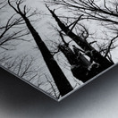 Winter Canopy Metal print