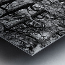 Evergreen Trident Impression metal