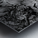 Mayapples Metal print