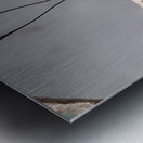 Butterfly Pullup Metal print