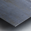 Sneaky Blue Heron Metal print