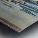 Gulls & Terns Metal print