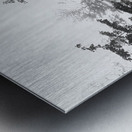 Misty Morning Metal print