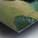 Catbird Scolding Metal print