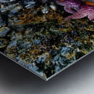 Tidal Pool 2 Metal print