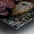 Tidal Pool 5 Metal print