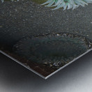 Sea Anemone Metal print