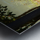 Lake Deer Metal print