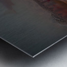 Shade Brook Trout Fave 1 Impression metal