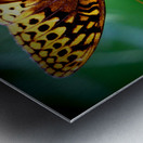 Butterfly On Thistle Impression metal