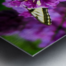 Swallowtail On Lilacs Impression metal