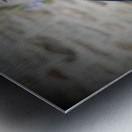 Monarch On Cardinal Flower Metal print