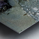 Tidal Pool 3 Metal print