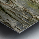 Beauty And Beast Metal print