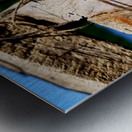 Emerging Dragonfly Metal print