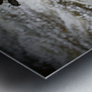 Stonefly Shucks Impression metal