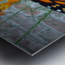 Monarch Female Metal print