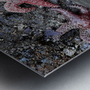 Tidal Pool 4 Metal print