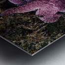 Tidal Pool 7 Metal print