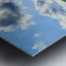 Swamp Mallow At Moraine State Park Metal print