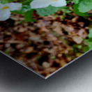 White Trillium Column Metal print