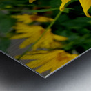 Bumblebee On Helianthus Metal print