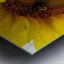 Sunflower Left Metal print