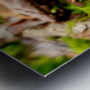 Snoring Fungus Metal print