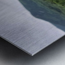 White Mountain Lupines Impression metal