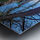 Muppet Tree 1 Metal print