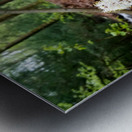 Foamflower Streamside Metal print