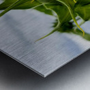 Sunflower Beak Metal print