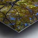 Golden Tree Horizontal Metal print