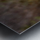 Trout Lilies Metal print