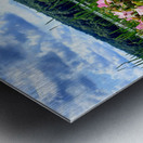 Swamp Mallow At Moraine State Park Metal print