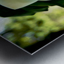 Magnolia Flower Impression metal