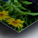 VT Peony 1 Metal print