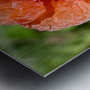 Poppy Metal print