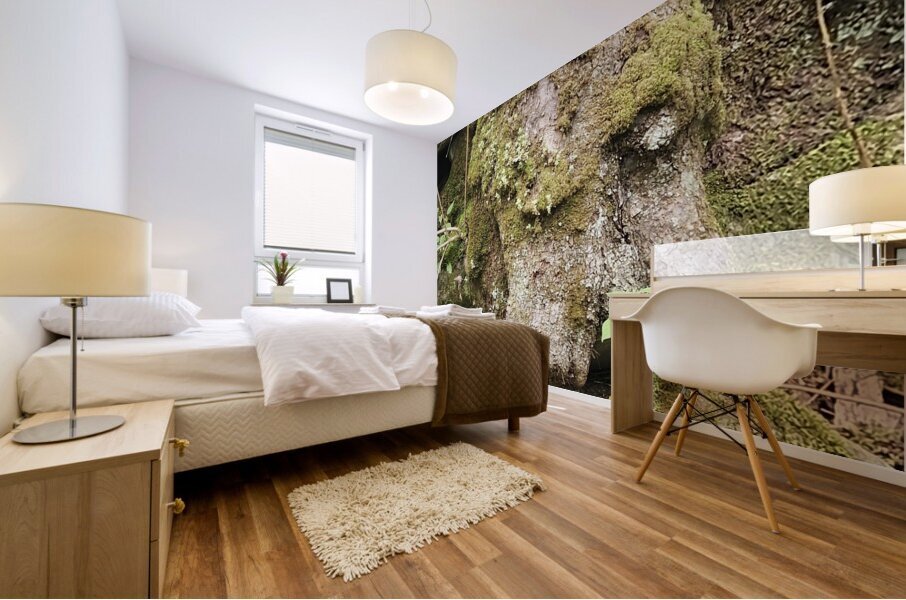 Faces Of The Smokies 1 Mural print