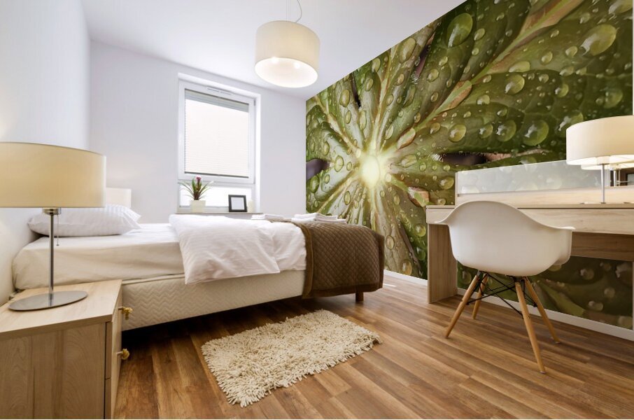 Raindrops on Mayapple Mural print