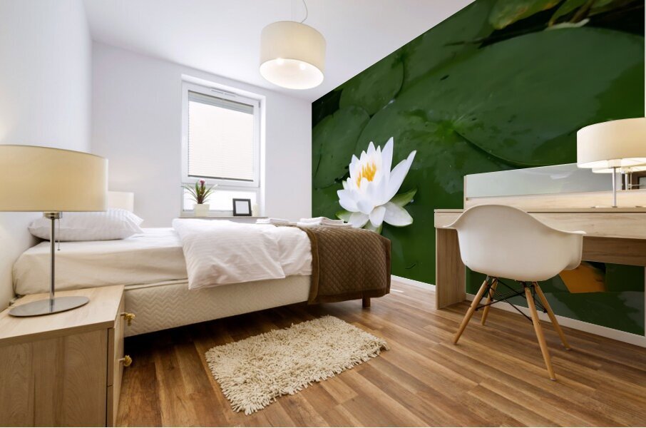 Water Lily 1 Mural print