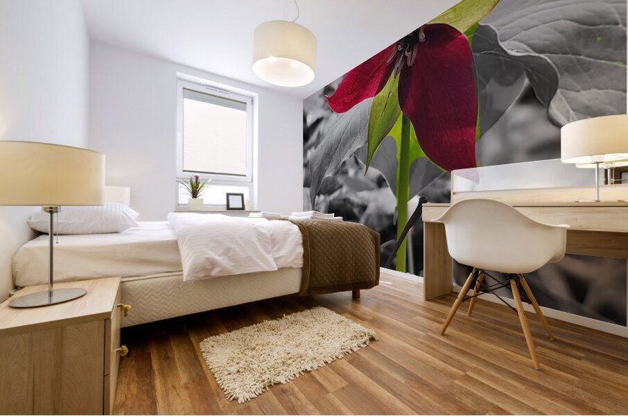 Red Trillium Mural print