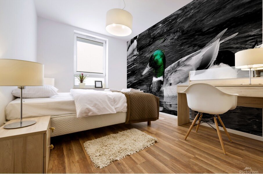 Mallard Duck Mural print