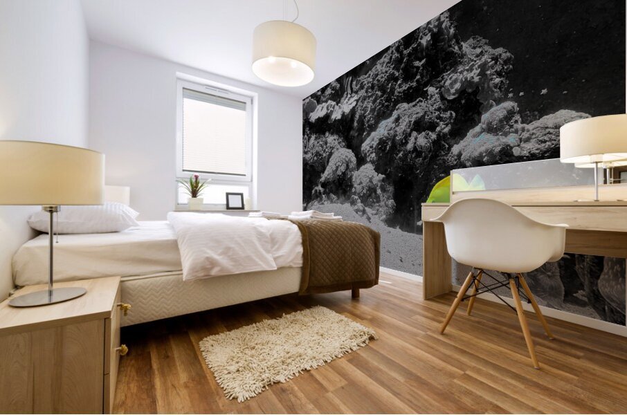 Tropical Fish Mural print