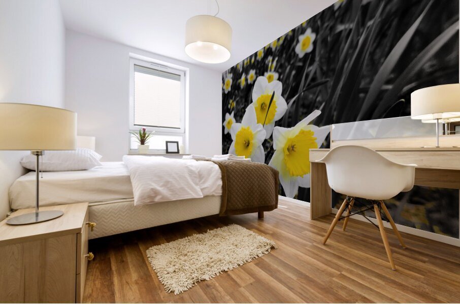 Daffodils Mural print