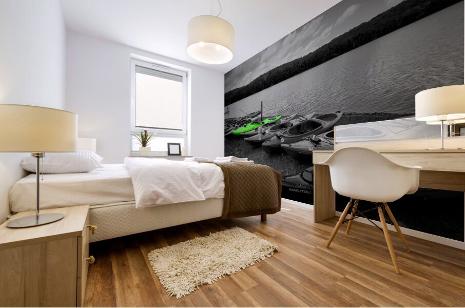 Green Kayak Mural print