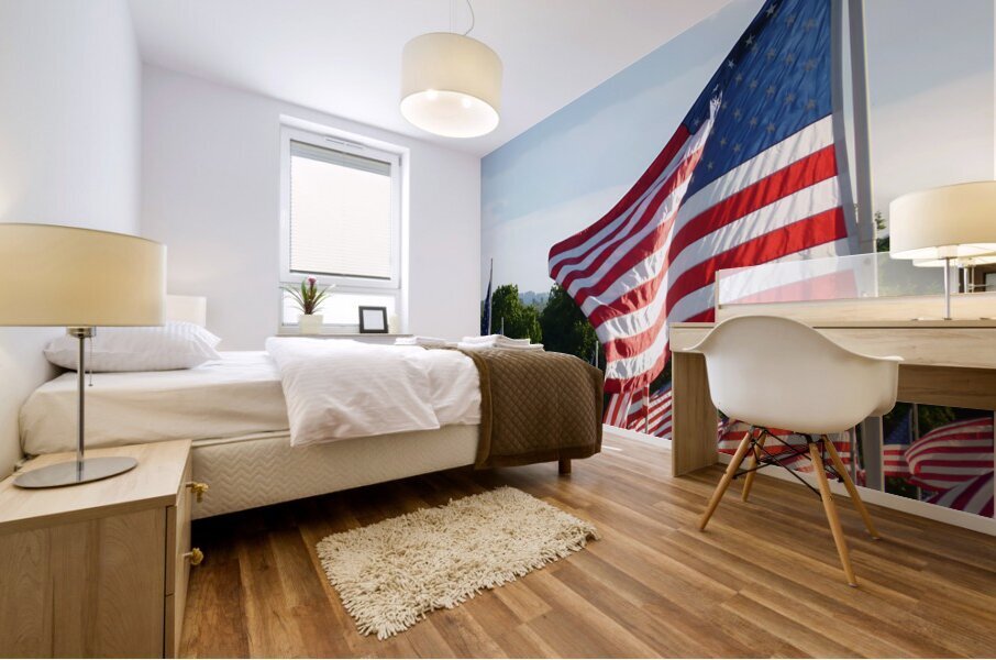 Flags Mural print